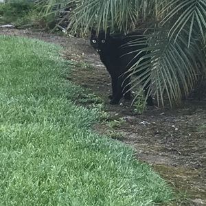 Meet your Posher, Alicd